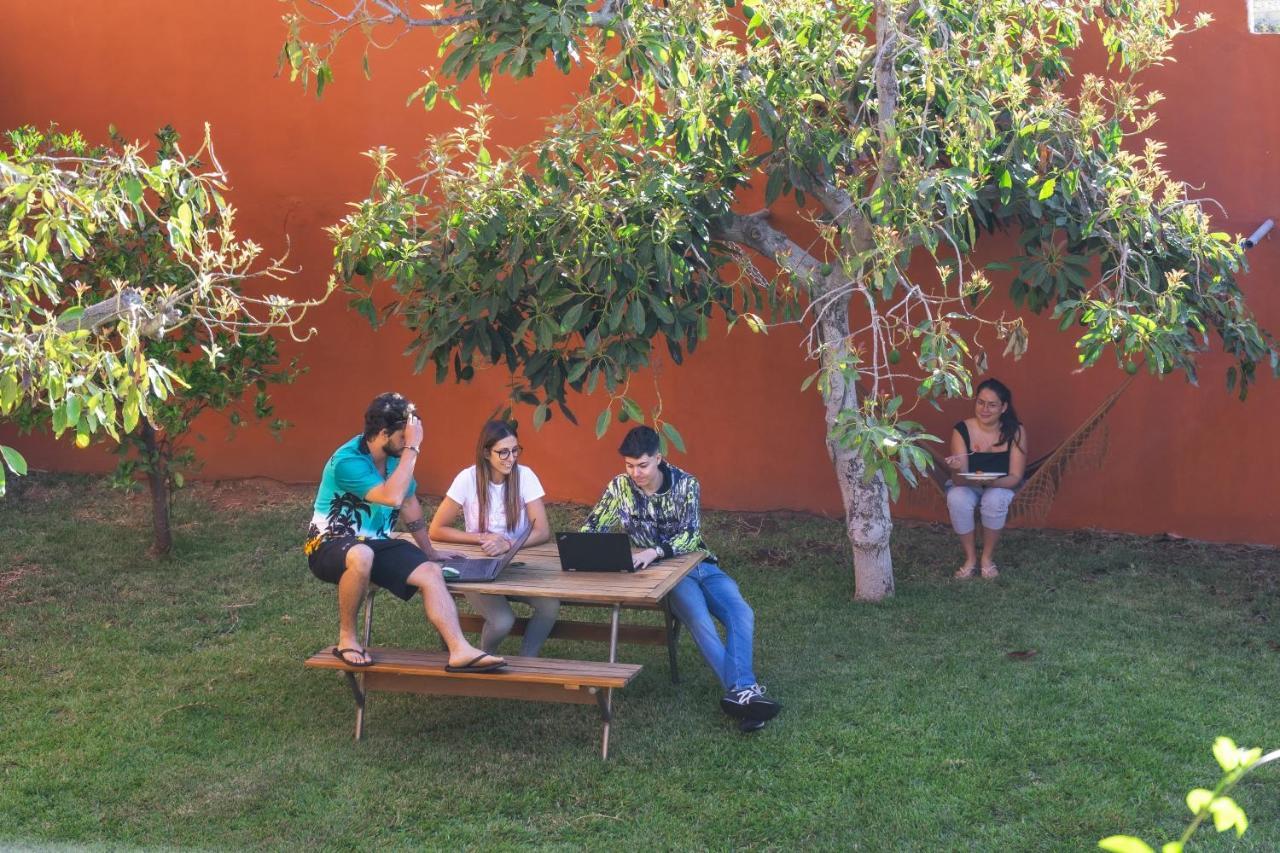 Cactus Coliving & Coworking Bed and Breakfast Arona  Eksteriør billede